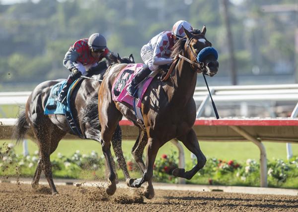 drf-s-horse-racing-playbook-for-friday-august-21-2020